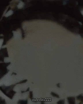 d201cec7-5449-4af8-a716-7e50fc5e15cf.gif